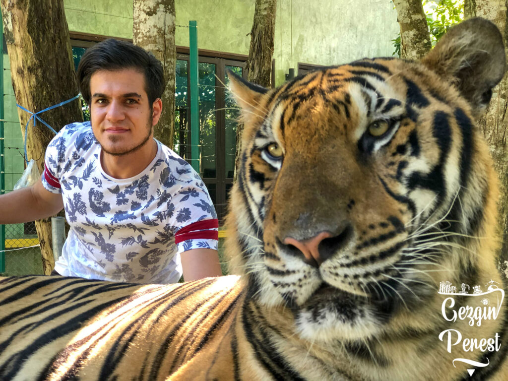 Phuket Kaplan Krallığı