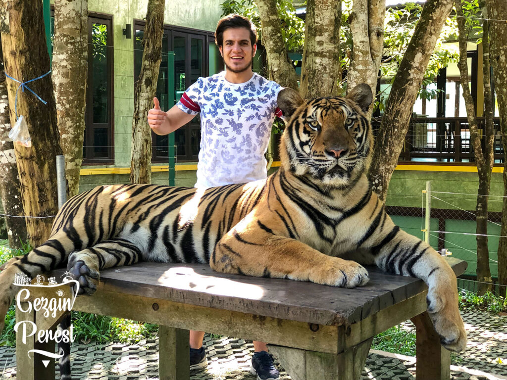 Phuket Kaplan Krallığı