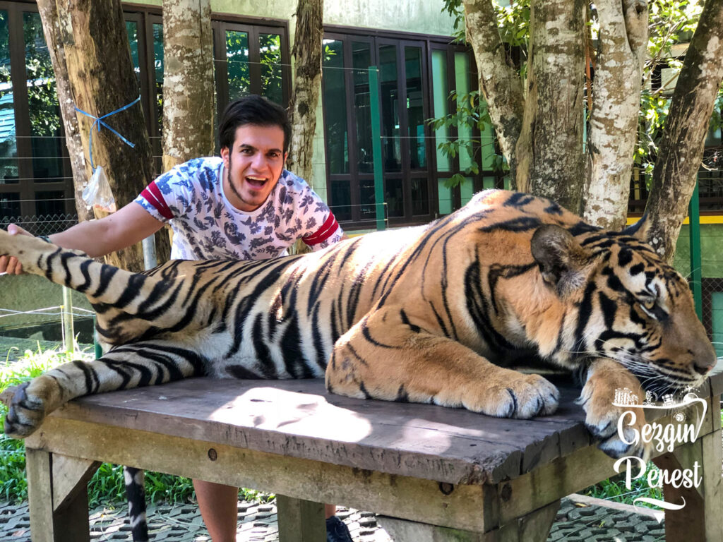 Phuket Kaplan Krallığı